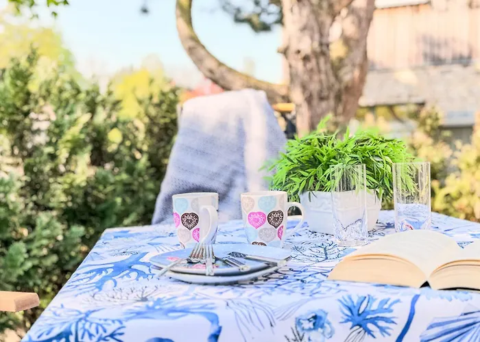 Sterntaucher 01 * 프레로